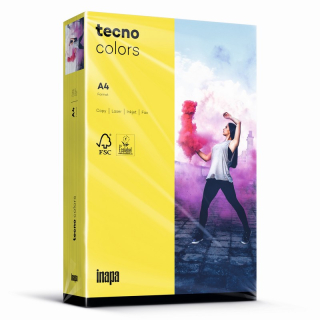 Farbpapier A4 120 g/m² 250 Blatt inapa tecno Colors standard gelb