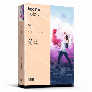 Farbpapier A4 120 g/m² 250 Blatt inapa tecno Colors standard lachs