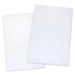 Herlitz squared/white 5 blocks with 20 sheets each 80 g/qm, 68 x 99 cm Flipchart-Paper punched
