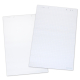 Herlitz squared/white 5 blocks with 20 sheets each 80 g/qm, 68 x 99 cm Flipchart-Paper punched